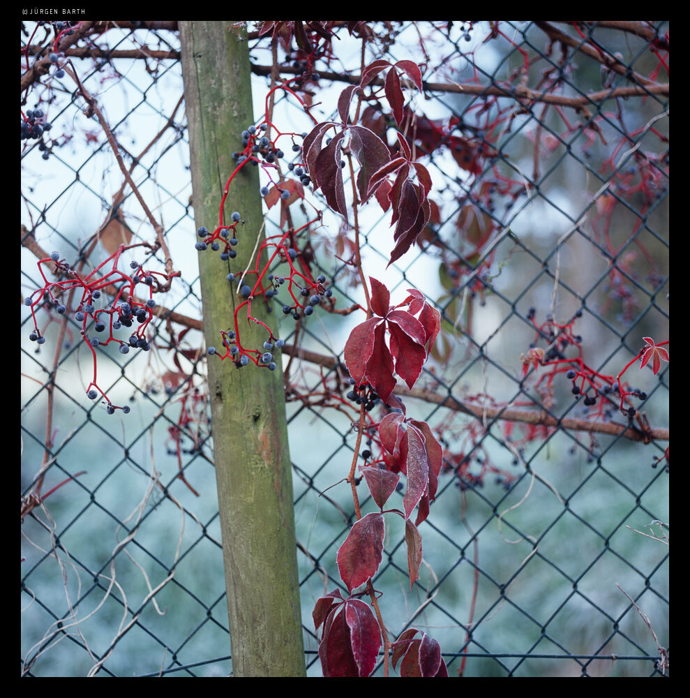 Series 04